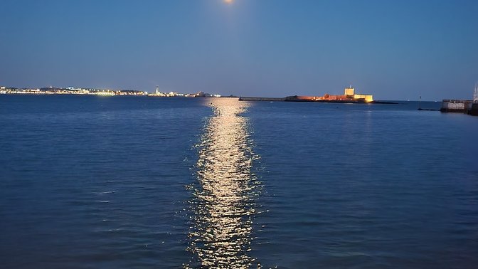 History Now with Monty Losh