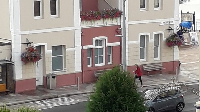 History Now with Monty Losh