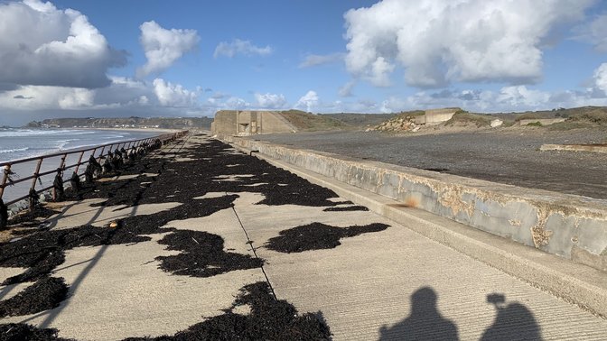 Jersey Biodiversity Centre