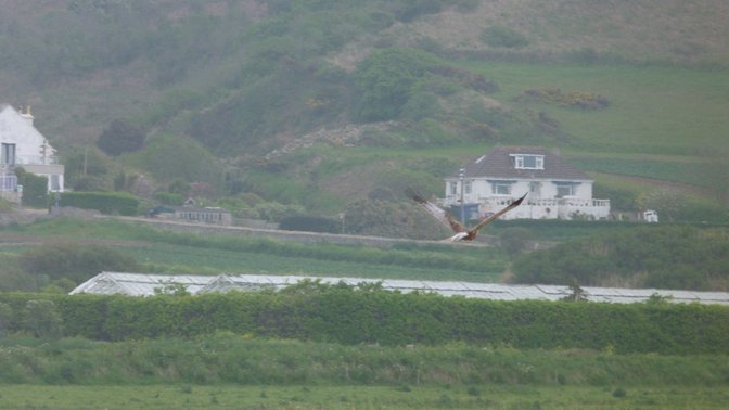 Jersey Biodiversity Centre