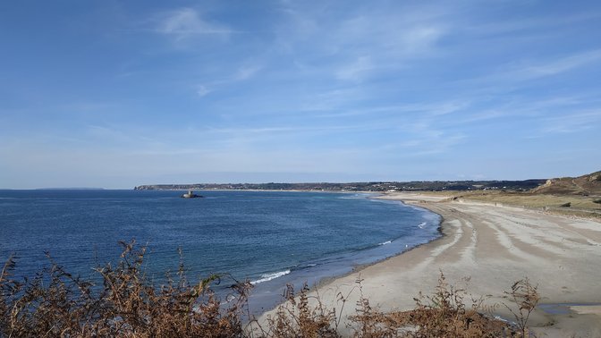 Jersey Pearl