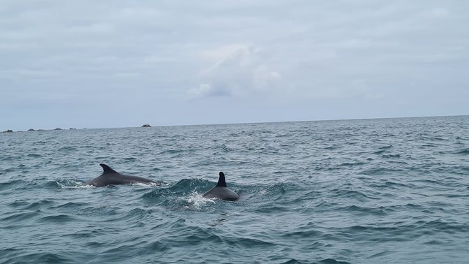 Jersey RIB Adventures