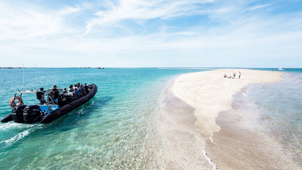 A Guide to Jersey Boat Trips and Offshore Reef Excursions