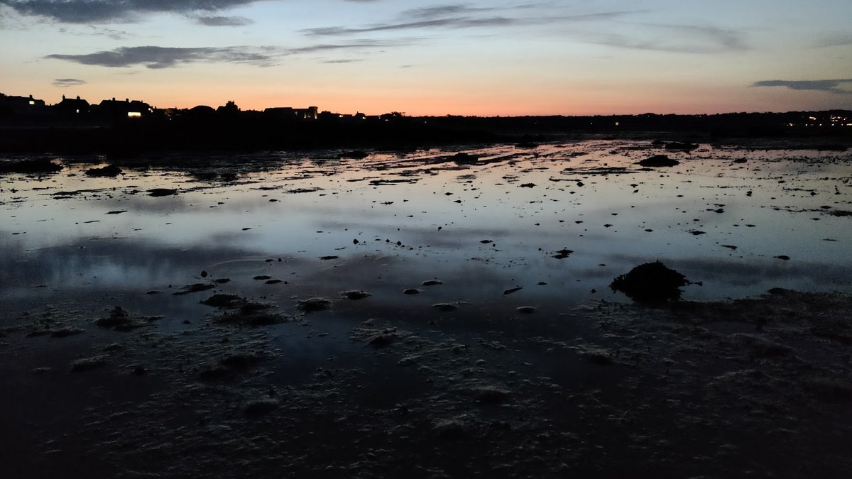 Bioluminescence in Jersey: Guide to Glowing Shoreline Night Walks