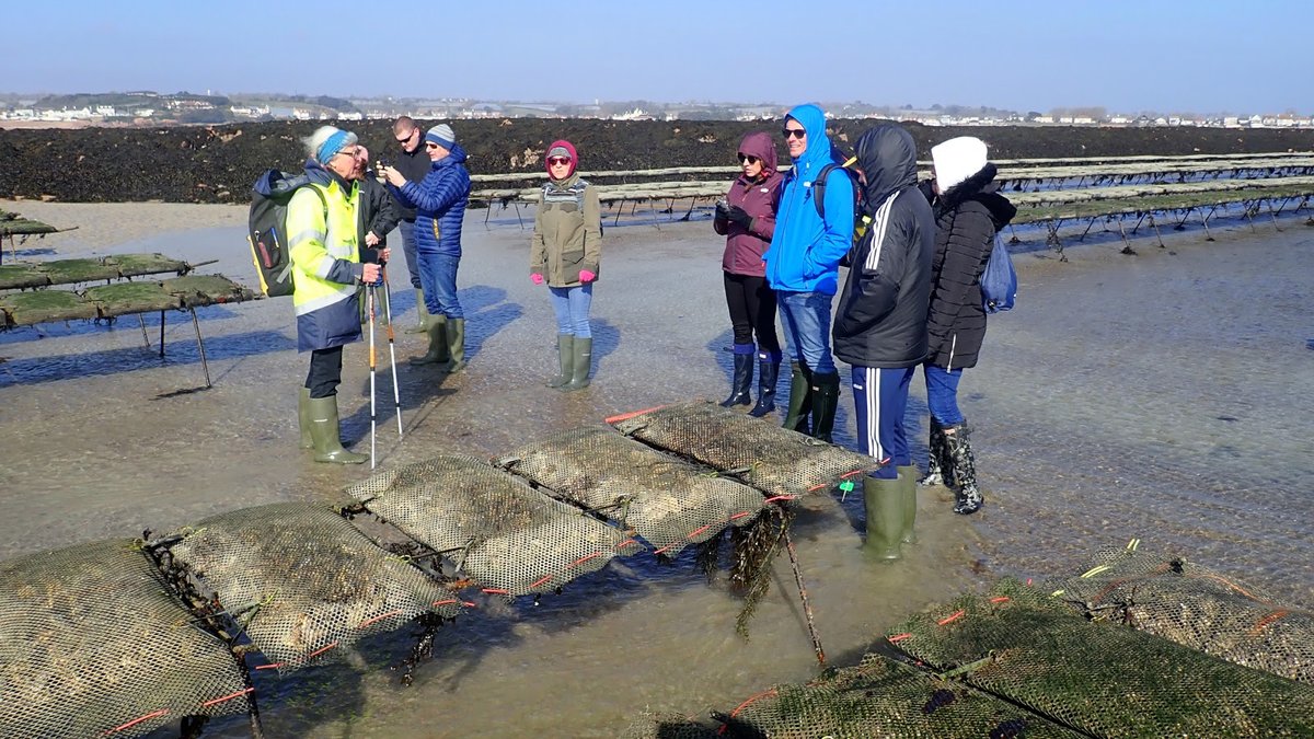 Jersey Oyster Bed Tours and Tastings: A Seafood Lover's Guide