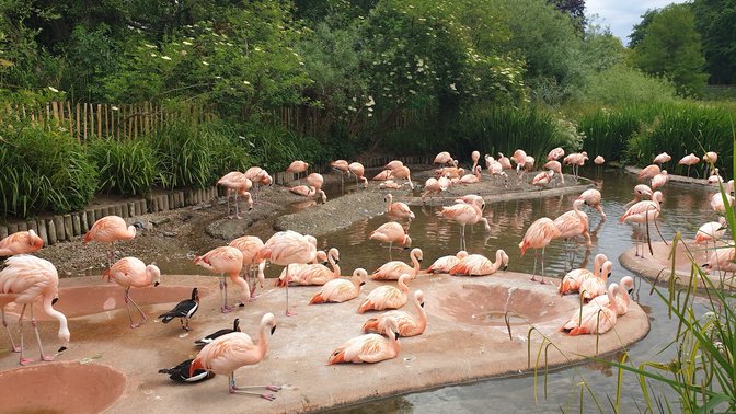 Jersey Zoo