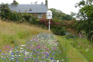 Judith Queree\u0027s Garden