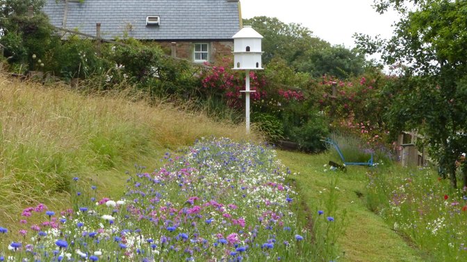 Judith Queree's Garden