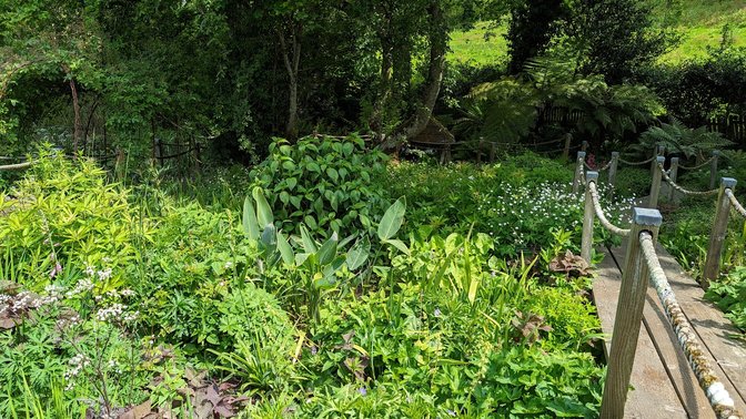 Judith Queree's Garden