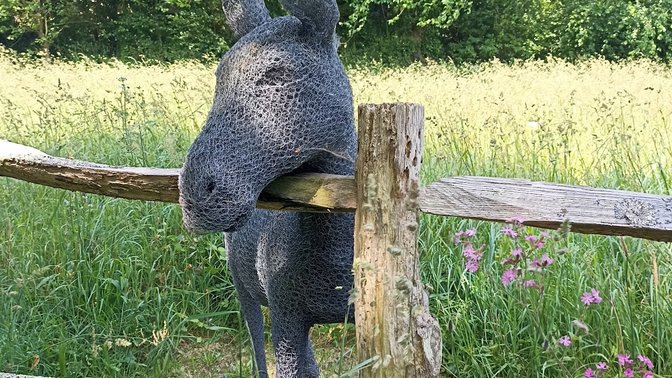 Judith Queree's Garden