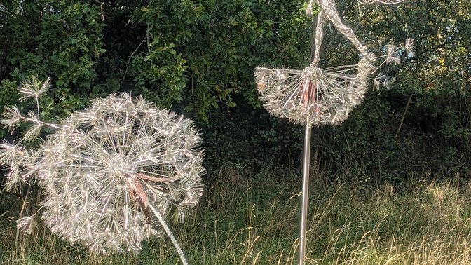 Judith Queree's Garden