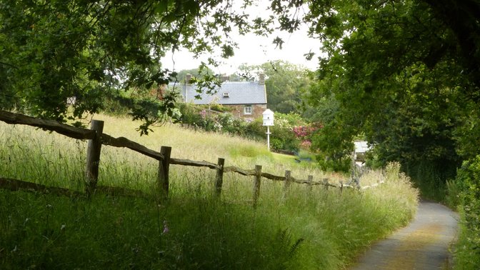 Judith Queree's Garden