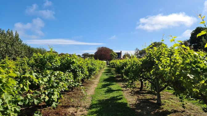 La Mare Wine Estate Jersey