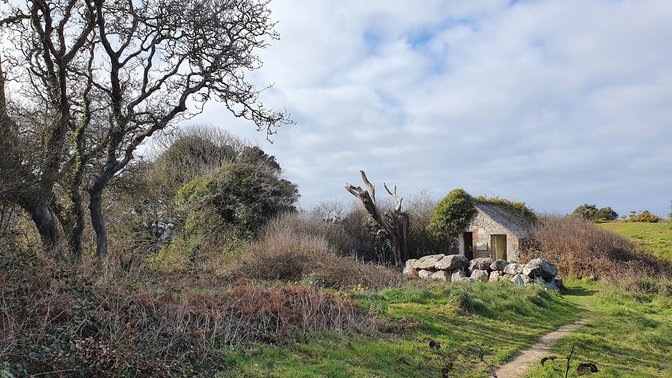 Le Dolmen du Couperon