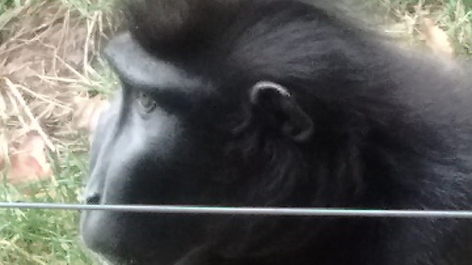 Les Quennevais Sports Centre