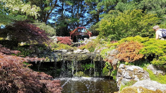 Man's Garden