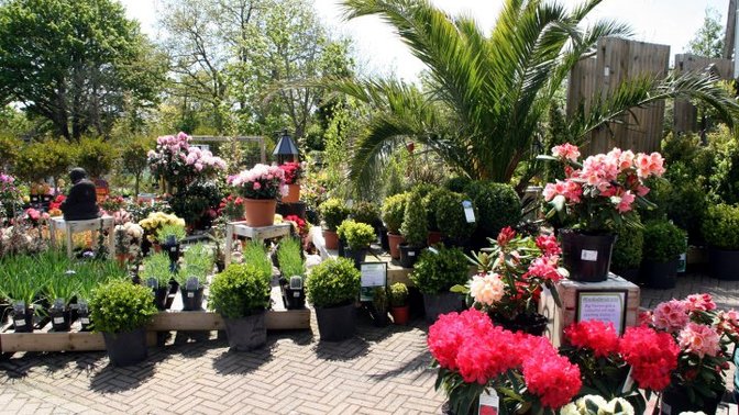 Ransoms Garden Centre
