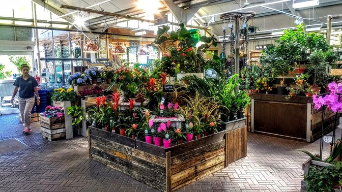 Ransoms Garden Centre