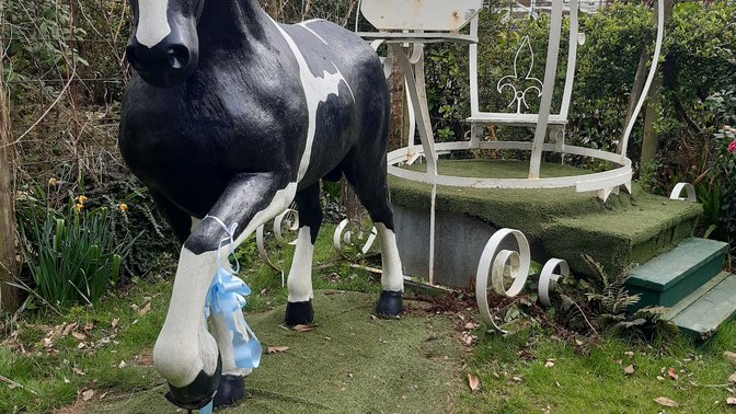 Reg's Garden