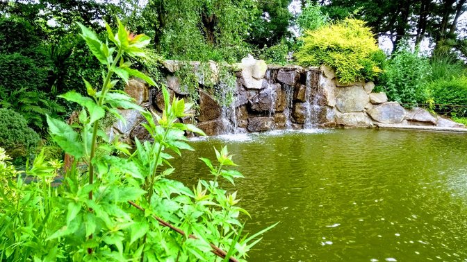 Reg's Garden