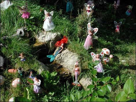 Reg's Garden