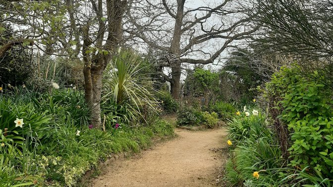 Reg's Garden