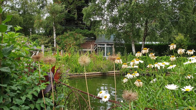 Reg's Garden