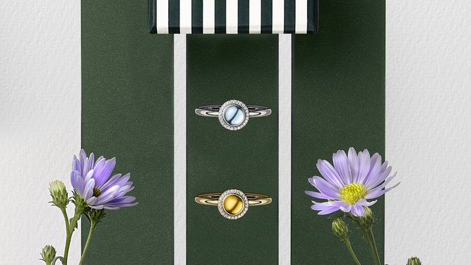 Rivoli Jewellers