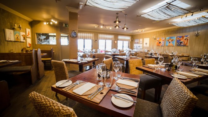 Salty Dog Bar & Bistro