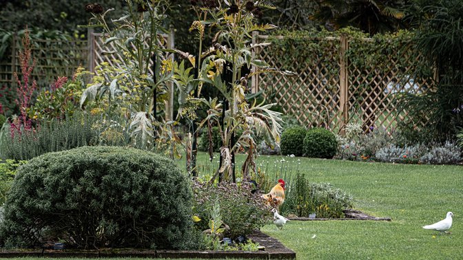 Sprigs Cafe at Jersey Lavender