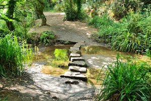 St. Catherine\u0027s Woods