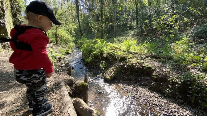 St. Catherine's Woods