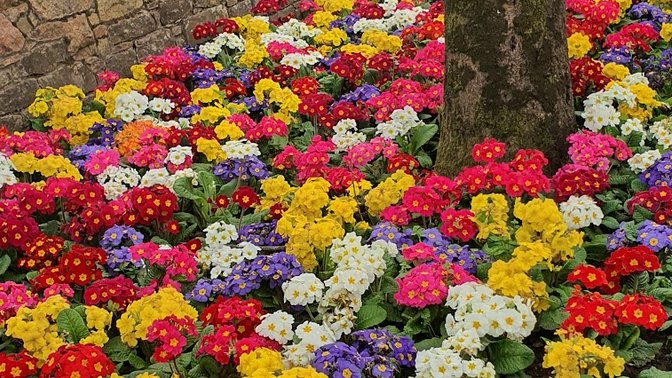 St John's Village Cafe