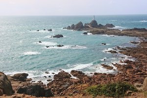 Tantivy Blue Coach Tours