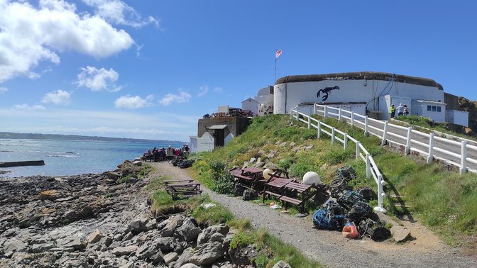 Tantivy Blue Coach Tours