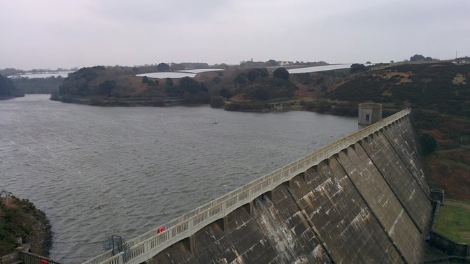 The Forgotten Forest Arboretum
