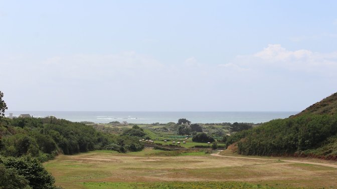 The Forgotten Forest Arboretum