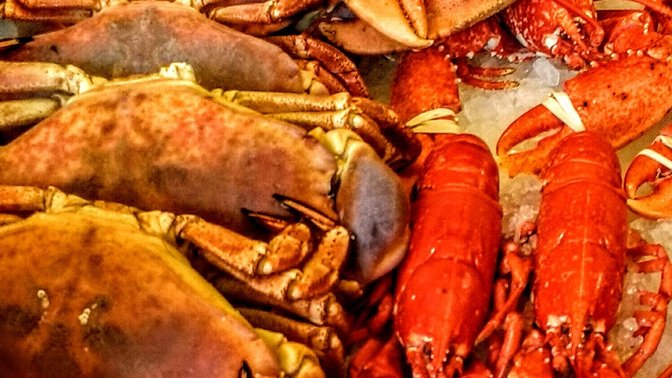 The Fresh Fish Company