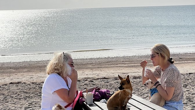 The Hungry Whale Beach Cafe Jersey