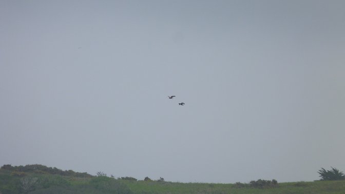 The National Trust for Jersey Wetland Centre