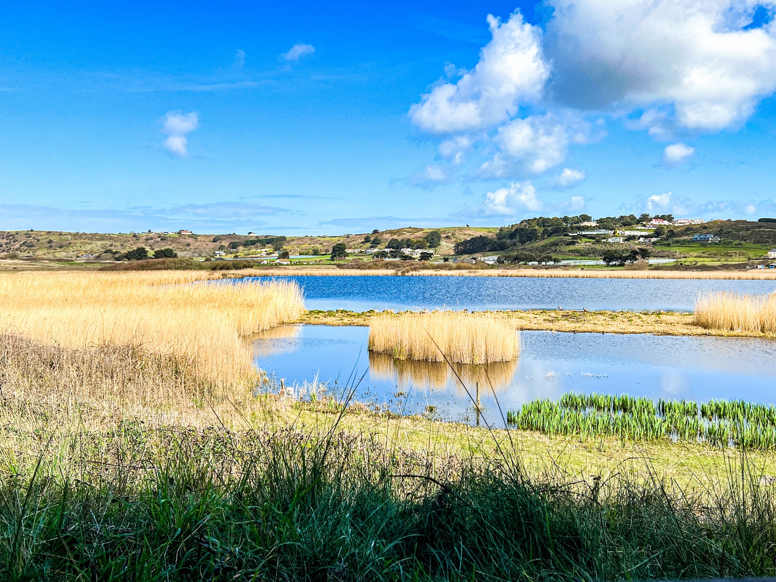 The National Trust for Jersey Wetland Centre