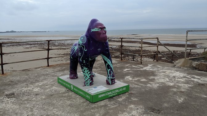 The National Trust for Jersey Wetland Centre