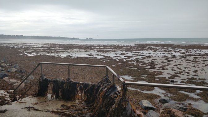 The National Trust for Jersey Wetland Centre