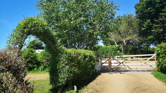 The Palms Campsite & Oasis Cafe