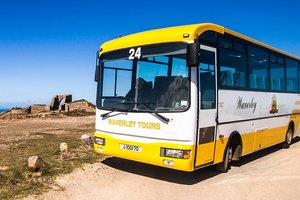 Waverley Coach Tours