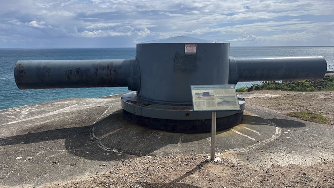 Waverley Coach Tours