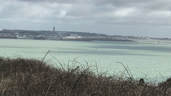 Waverley Coach Tours