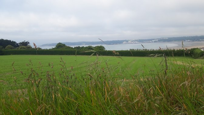 Westhill Country Hotel
