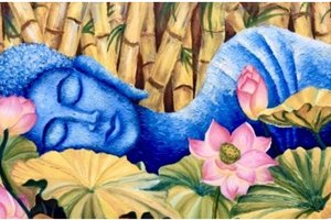 Yoga Nidra Meditation \u0026 Nidra Health