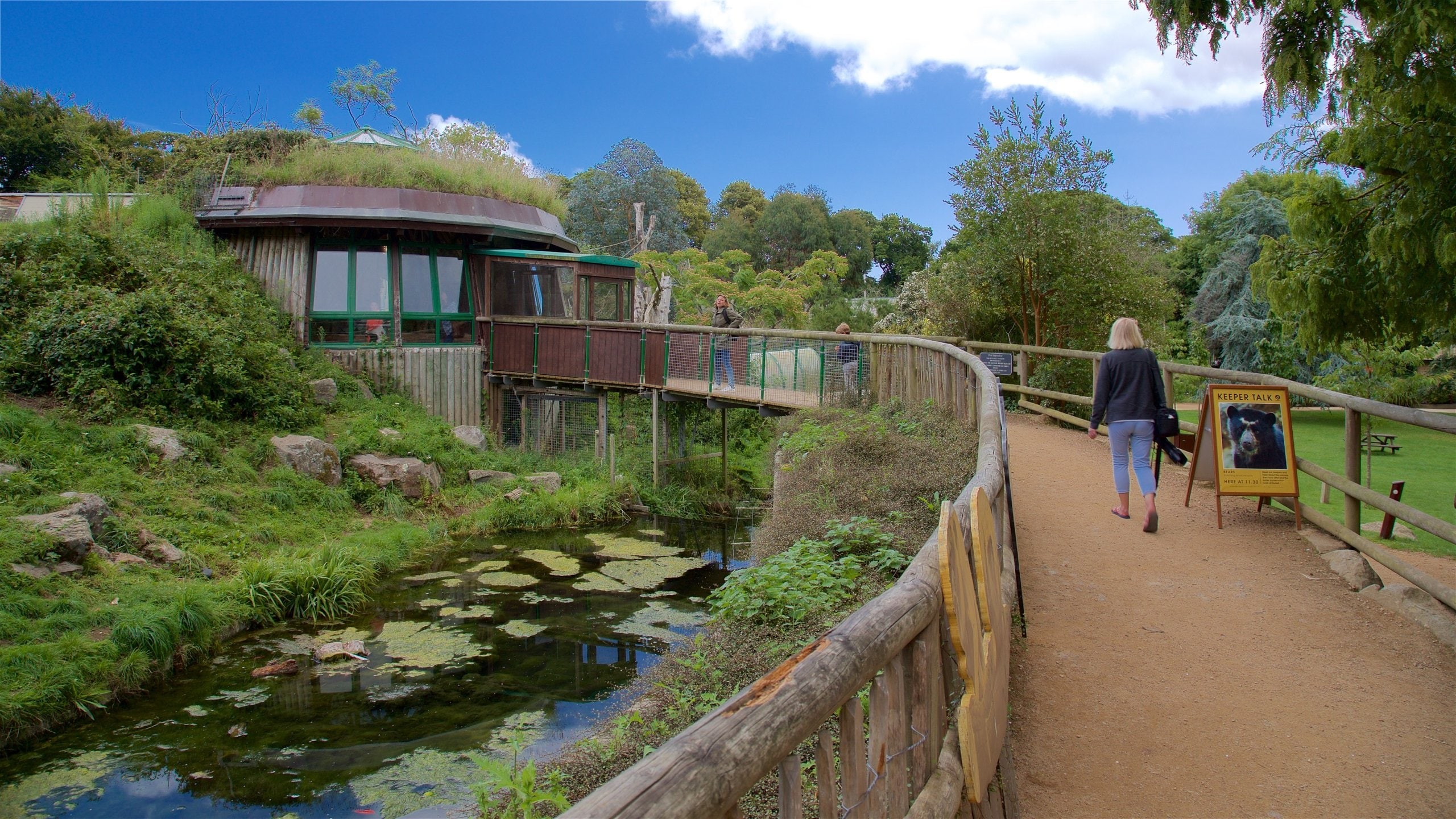Twilight Trails and Aye-Ayes: Summer Evenings at Jersey Zoo
